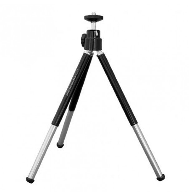 Trepied Foto Azalea Esperanza