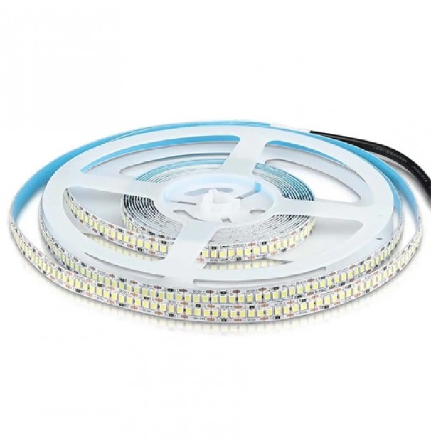 Banda Led Smd2835 240led/m 6400k Ip20 5m