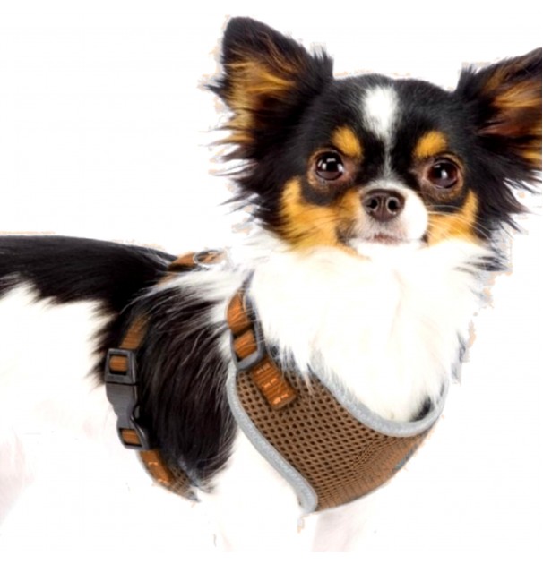 Ham Pentru Caini De Talie Mica Cu Elemente Reflectorizante, Confortabil, Marime Xxs, Culoare Maro, Anione Germany