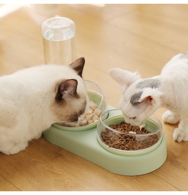 Vas Dublu Inclinat Pentru Hranire Pisici Cu Dispenser Apa, Avx-Ag684E