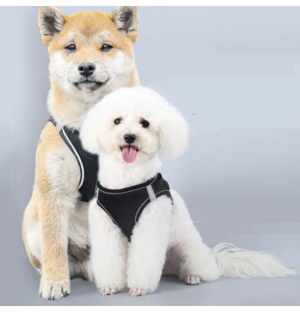 Ham Pentru Caini De Talie Mica Cu Elemente Reflectorizante, Confortabil, Marime Xxxs, Culoare Negru, Anione Germany