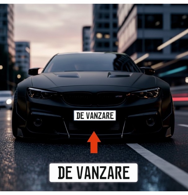 Placuta De Inmatriculare 